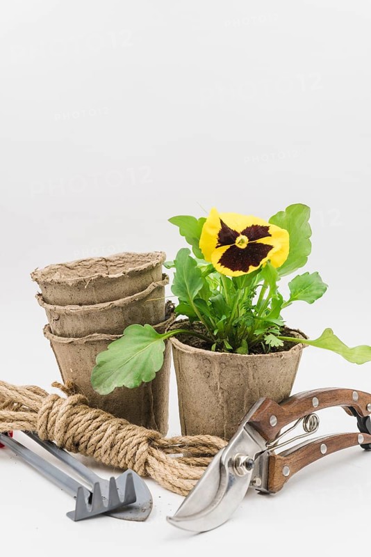 Stacked peat pots rope bundle gardening tools secateurs isolated white background