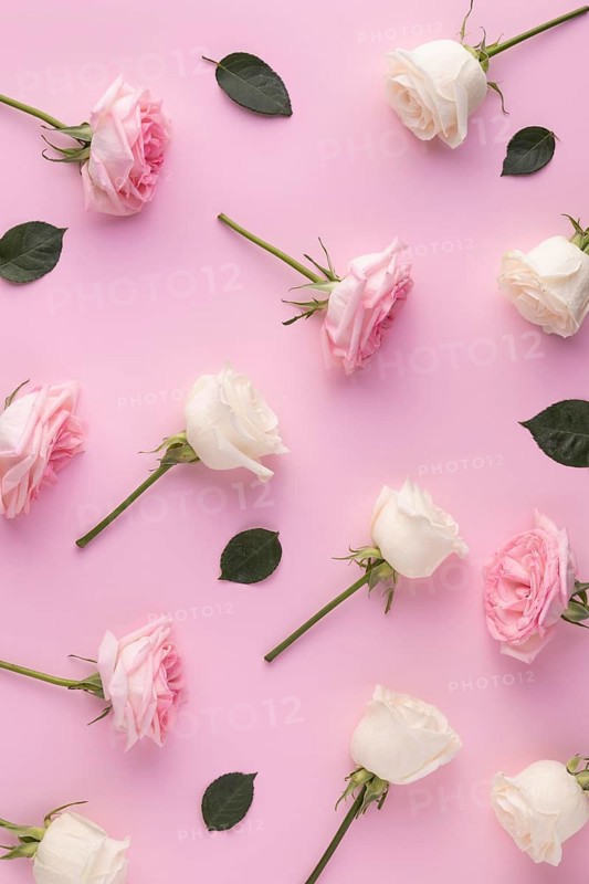 Top view blooming roses 2
