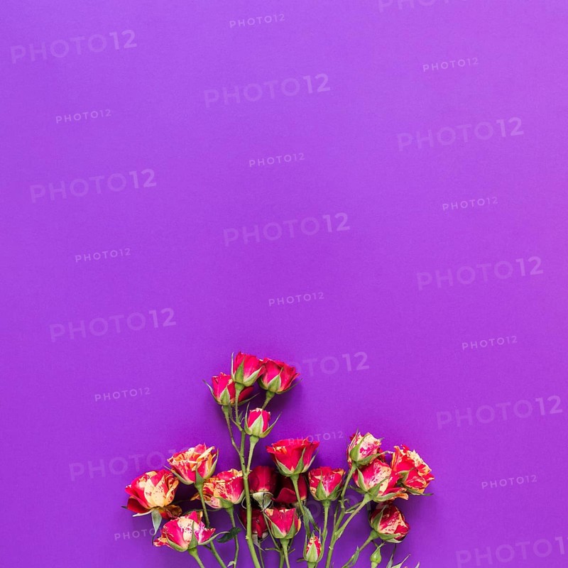 Top view bouquet carnation flowers violet copy space background