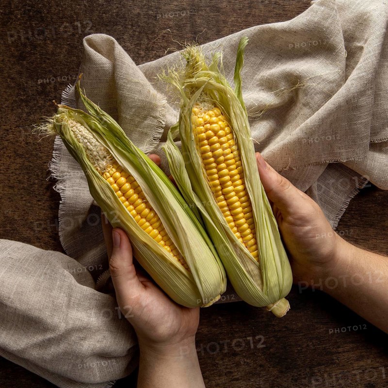 Top view person holding corn
