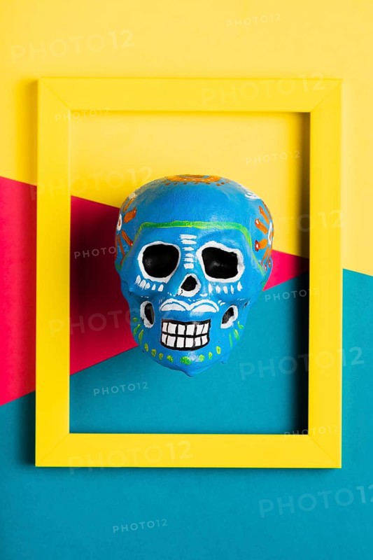 Top view yellow frame with blue skull