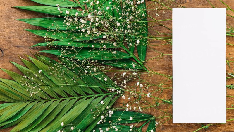 Wedding menu concept with leaves