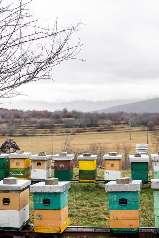 Bee hives outdoors country lifestyle
