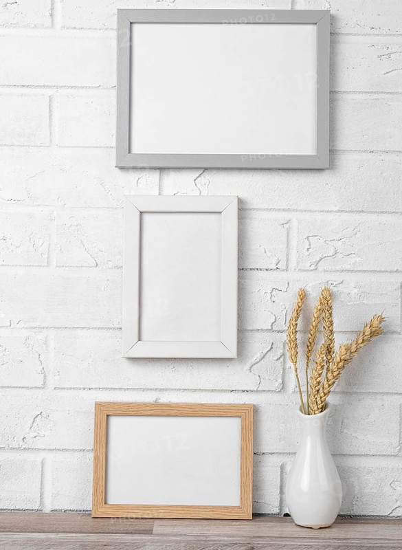 Blank frames wall vase
