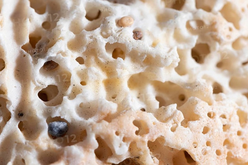 Close up coral organic background 2
