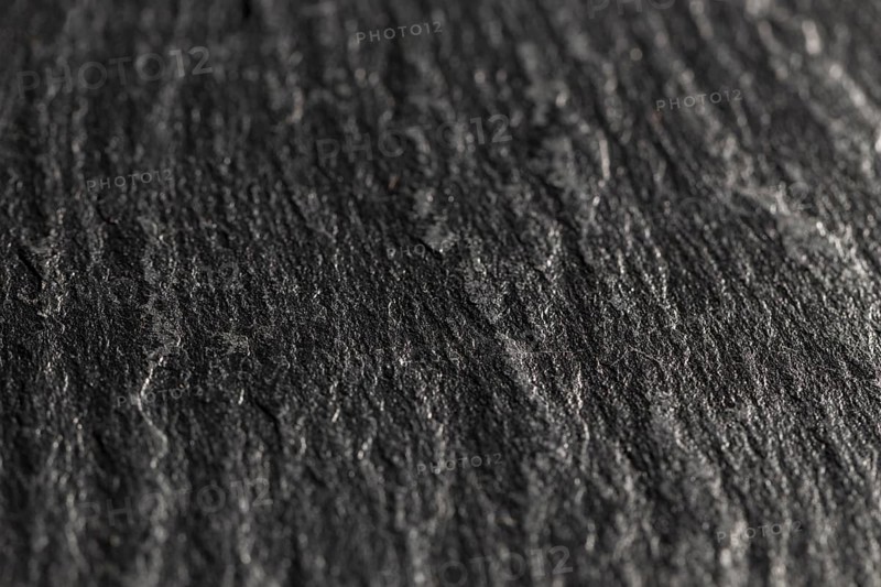 Close up dark tree shell