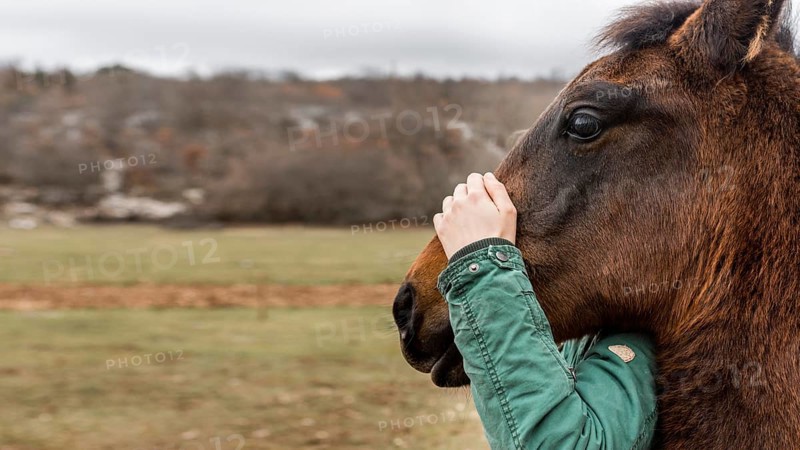 Close up hand holding horse head