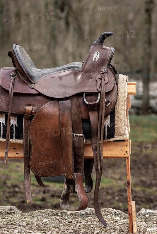 Country lifestyle with leather saddle