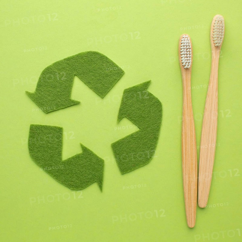Ecological toothbrushes