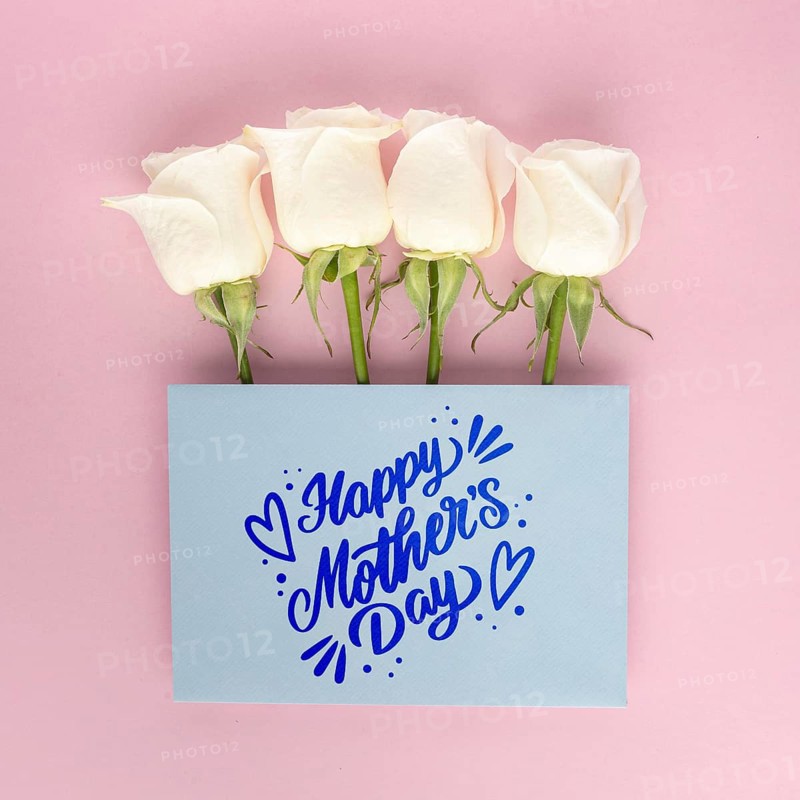 Flat lay beautiful composition mother s day
