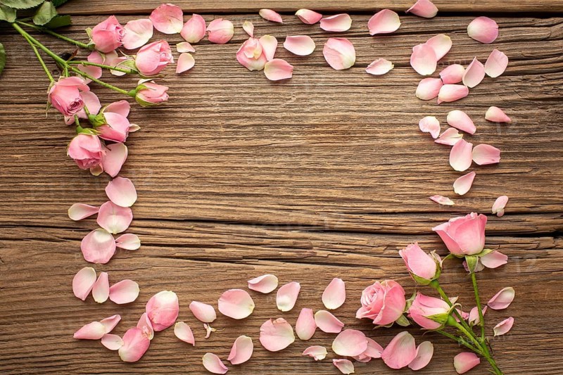 Frame flowers petals