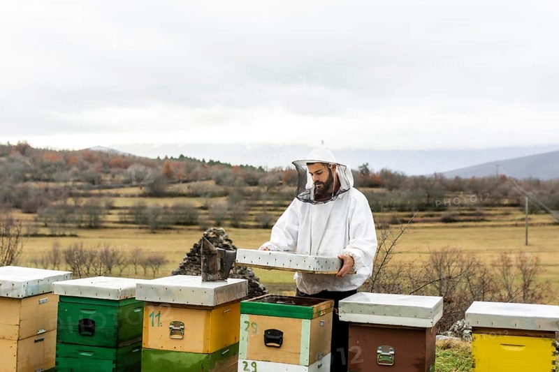 Medium shot man checking bees