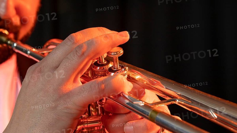 Musician celebrating jazz day