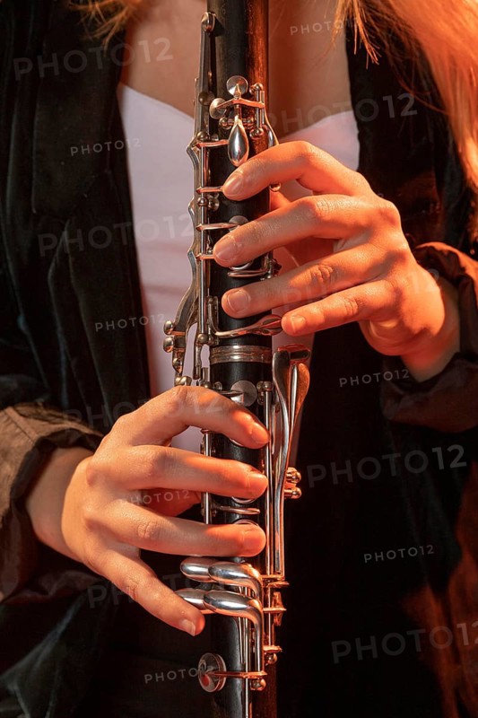 Musician celebrating jazz day event 3