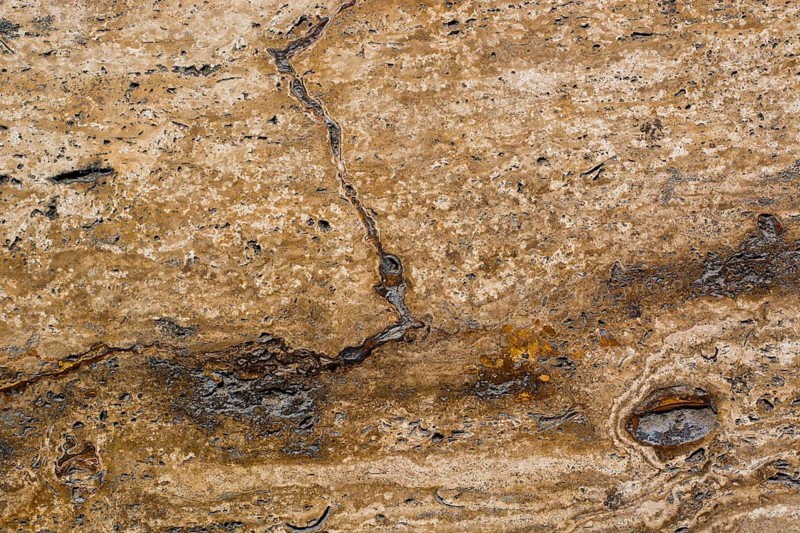 Tree texture with resin