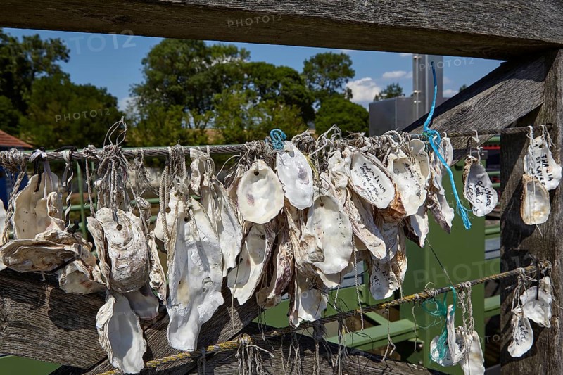 Oyster shells in Le Chateau-d'Oleron