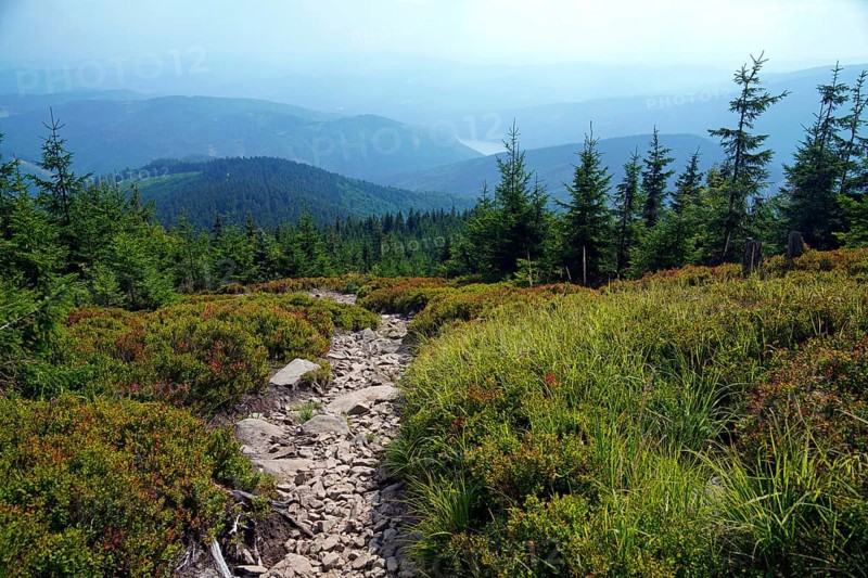 Moravian-Silesian Beskydy