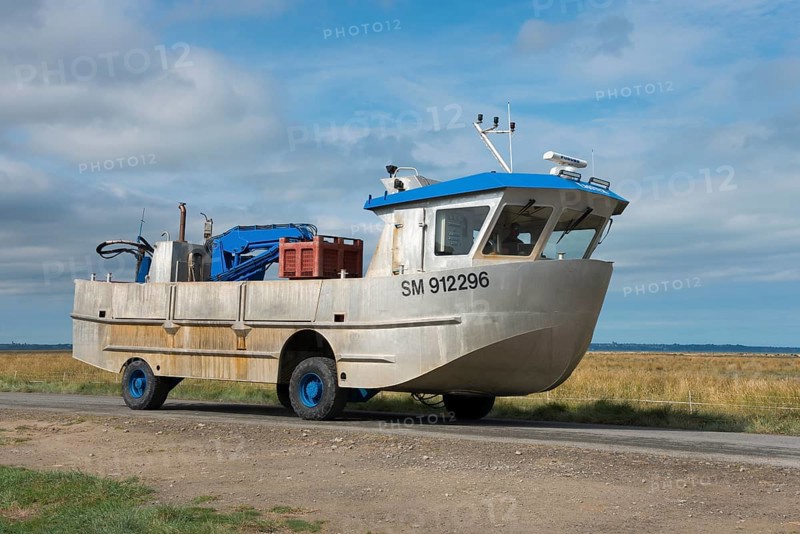 Amphibious vehicle on the road on the way to the mussel harvest