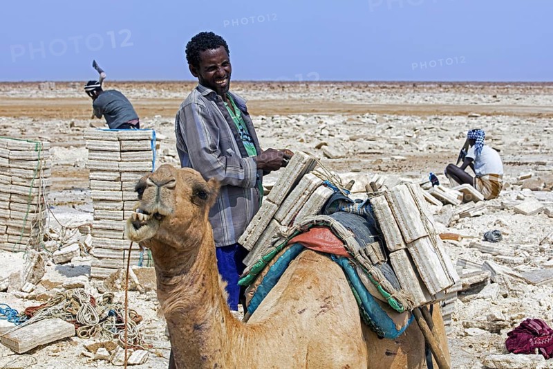 Afar salt miners chopping blocks
