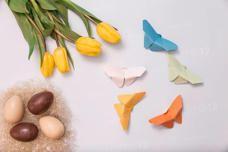 Spring composition with chocolate eggs tulips paper butterflies