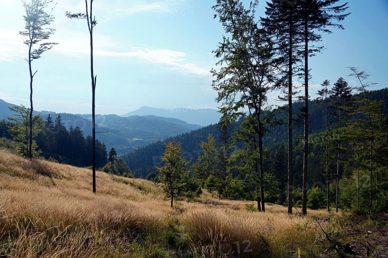 Moravian-Silesian Beskydy