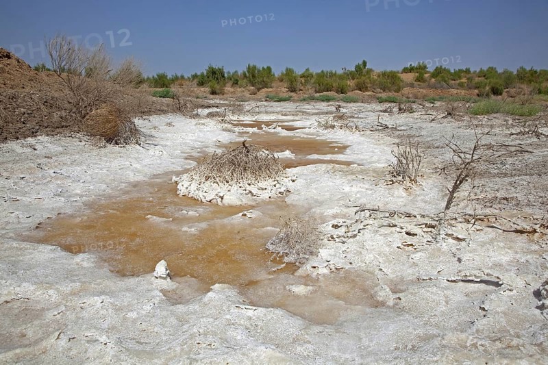 Salt deposition in the Karakum desert