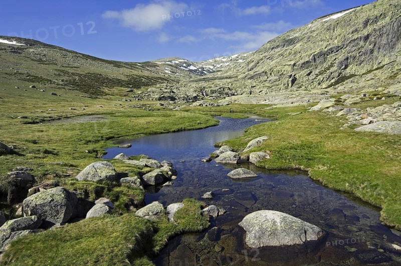 Mountain stream in spring in the Sierra de Gredos