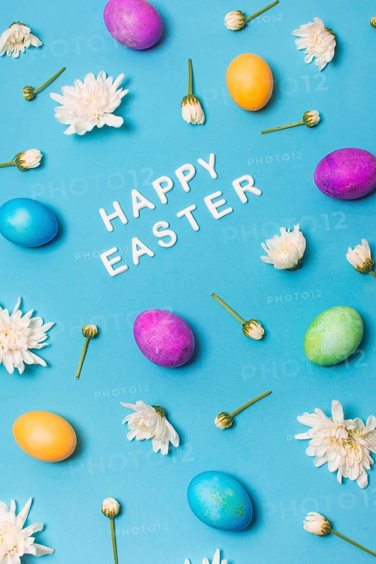 Happy easter title bright eggs flower buds
