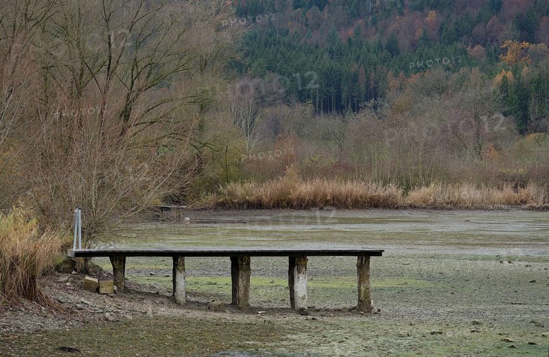 Winter lake drainage as a municipal measure for lake restoration
