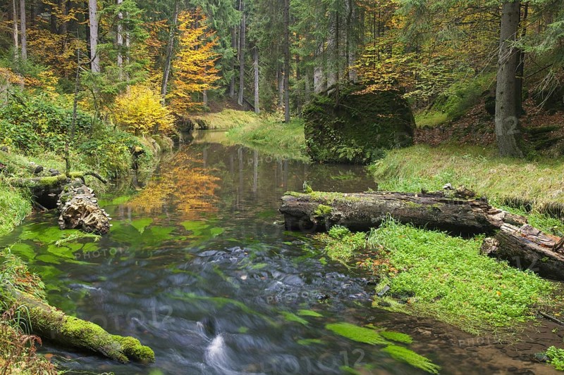 Kirnitzsch river flowing through Kirnitzschtal