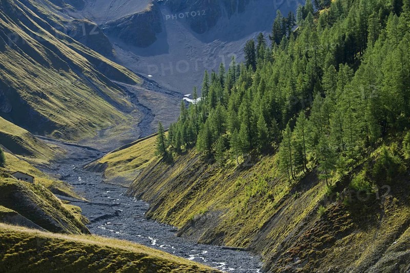 Almost dry riverbed of the river Ova da Trupchun in Val Trupchun