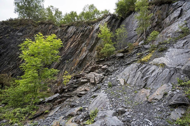 Ballachulish slate quarry showing overgrown cliff