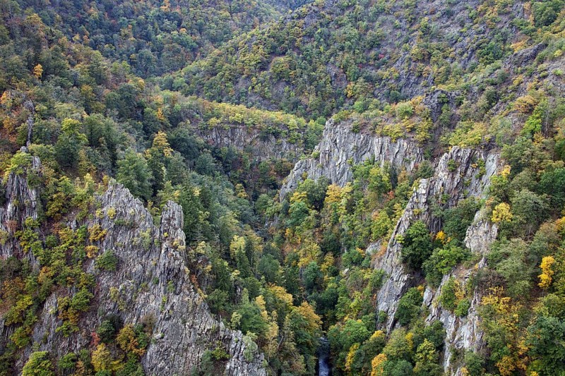 View over the river Bode in the Bodetal