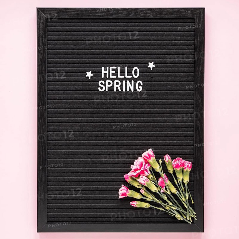 Hello spring inscription with pink flowers black board