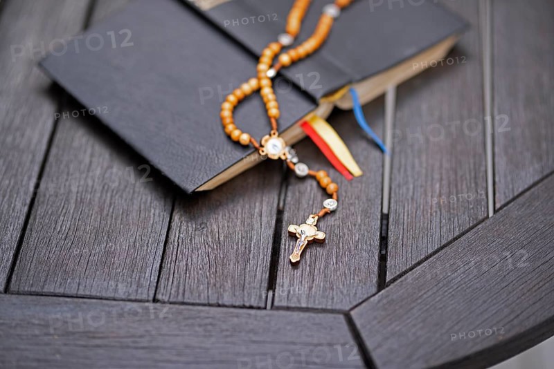 Bible standardised translation