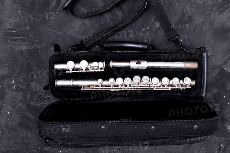 Top view bag flute