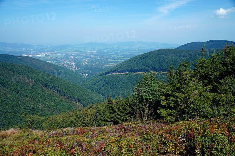 Moravian-Silesian Beskydy