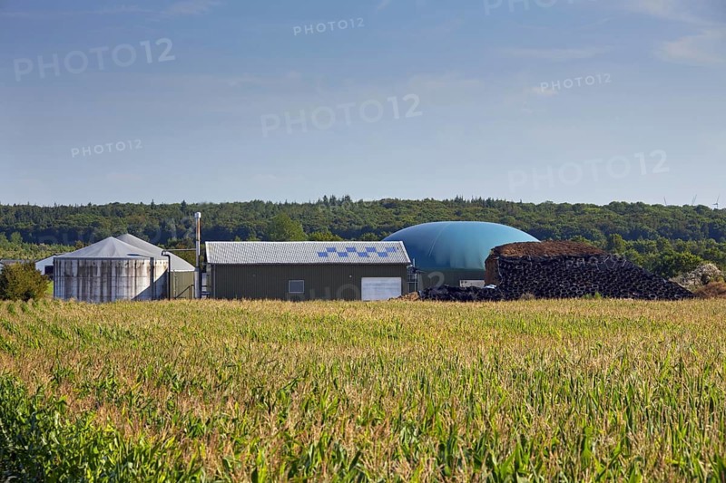 Farm-based maize silage anaerobic digester plant for producing biofuel