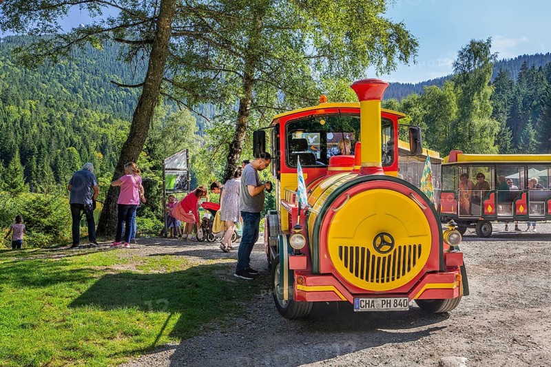 Little train to the Kleiner Arbersee