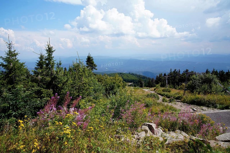 Moravian-Silesian Beskydy
