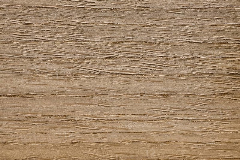 Wood grain of American White oak