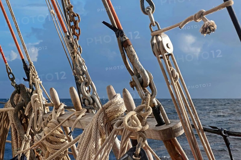 Rigging