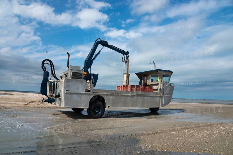 Amphibious vehicle in the Wadden Sea on the way to the mussel harvest