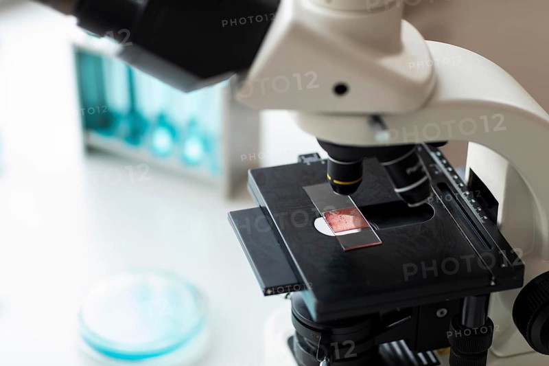 Close up microscope glass slide