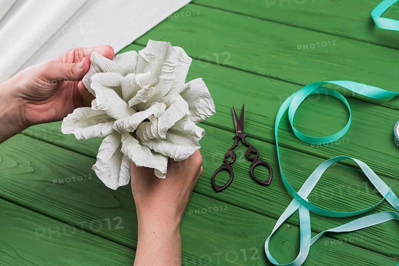 Person s hand holding fake crepe paper flower green textured background