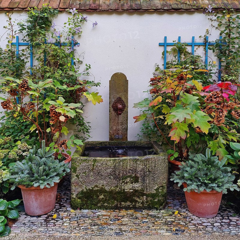 Garden with original fountain