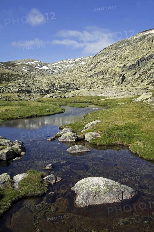 Mountain stream in spring in the Sierra de Gredos