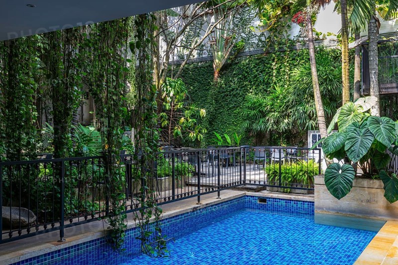 Green courtyard with pool in a hotel