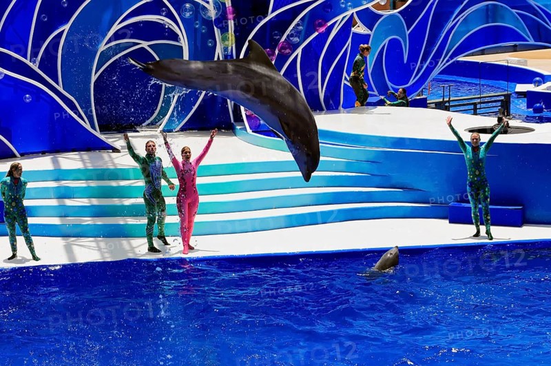 Dolphin Stadium
