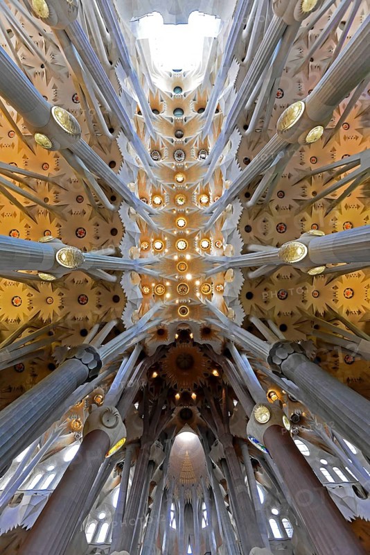 Ceiling vault of the Sagrada Familia or Basilica i Temple Expiatori de la Sagrada Familia